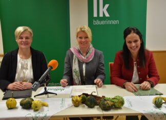 ARGE Bäuerinnen zum Weltlandfrauentag: Bäuerinnen haben starkes Netzwerk