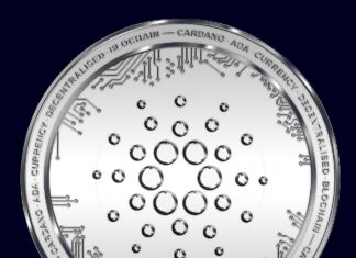 Wie sieht die Zukunft von Cardano aus?