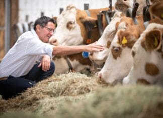 Tierärzte werden knapp: LK Kärnten legt Landtagsausschuss Maßnahmenpapier vor