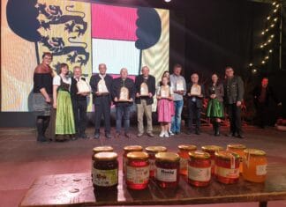 Kärntner Bienenhonig: Jahrgang 2021 ist erstklassig
