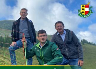 LK-Präsident Huber: Wolfsverordnung macht Weg frei für leichteren Abschuss von Wölfen in Kärnten