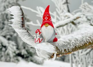 Nikolaus kommt mit Maske, Christbaumkauf zulässig