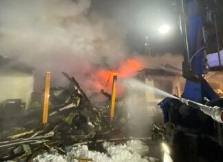 Wohnhausbrand – drei Hunde verendet