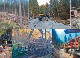 Je steiler, desto geiler – Holz und Schnee Köferle