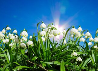 Bis zu 20 Grad: Diese Woche kommen wir endlich ins Schwitzen