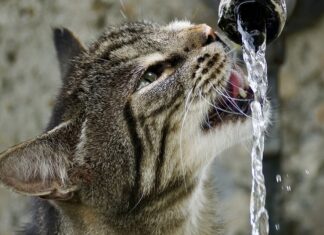 Weltwassertag 22. März 2022: “Ohne Wasser könnten wir nur vier Tage leben”