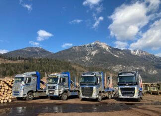 LKW-Fahrer(in) für Rundholztransporte gesucht!