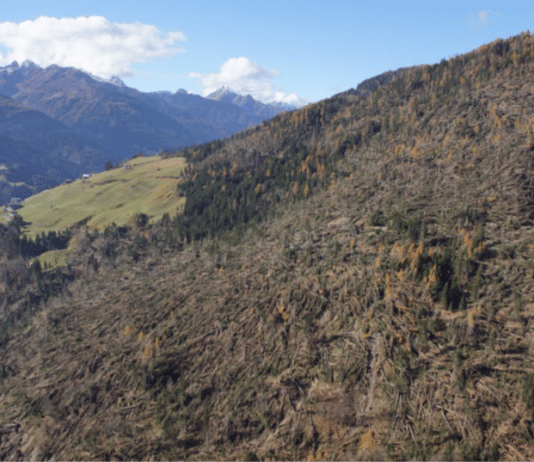 Vortrag: „Der Klimawandel und seine Folgen fürs Gailtal“
