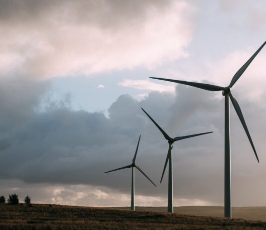 FPÖ Kärnten zu Almschutz: Keine weiteren Windräder und Chaletdörfer auf Kärntens Almen!
