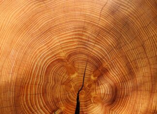 Wir suchen eine(n) Produktionsmitarbeiter/in (m/w/d) – Bandsägeführer/in (m/w/d) !!!