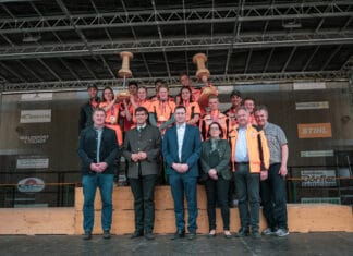 Die Litzlhofer sind die besten Motorsägen Schneider Österreichs!