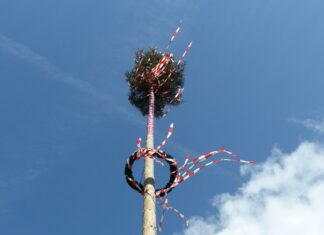 Unerwünschter Brauch: In Nötsch wurde der Maibaum umgeschnitten