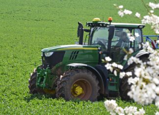 Kuriose Nachbarschaftsstreitigkeiten vor Gericht