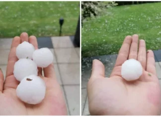Hagelunwetter zerstört tausende Hektar Landwirtschaft