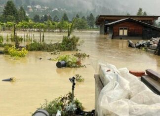 Helfer gesucht – Baumschule KARL in Treffen: “Alles ist voller Schlamm”