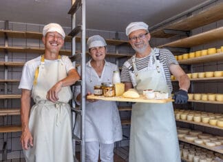 Almkäseanschnitt auf den Gailtaler Almen