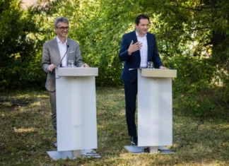 Positive Bilanz: Österreichs Waldfläche nimmt täglich um sechs Hektar zu