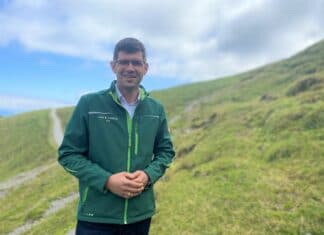 Budget verdoppelt: Halbe Million Euro für Almwege