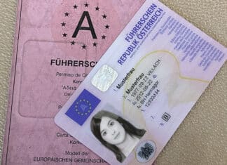 Verkehrs-, Kraftfahr- und Führerscheinrecht