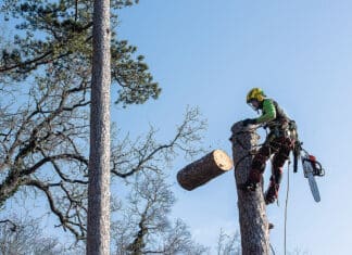 Das Schmuckstück eines jeden Gartens