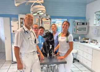 Neue Fachtierärztin im Team