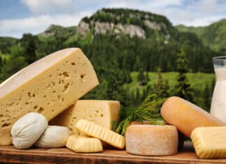 Kärntner Kulturgut Käse: Einladung zum 1. Gailtaler Almkäsemarkt