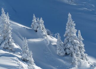 Wetterexperten: “In Kärnten wird es am Wochenende schneien”