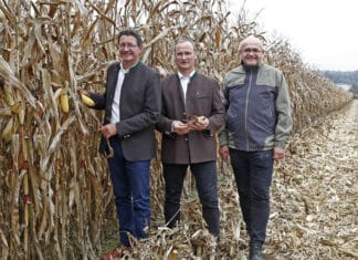 Erntebilanz 2022: Bescheidene Erträge, hohe Kosten und enorme Schäden