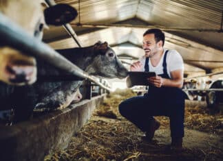 “Bauer” gestrichen: Aufschrei wegen Gender-Leitfaden des Landes