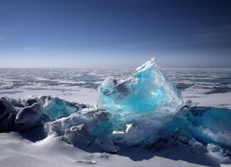Winterprogramm des Naturpark Weißensee oder … was haben Buckelwale und der Winter im Naturpark Weißensee gemeinsam?