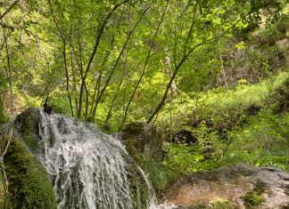 Wildbäche in St. Stefan/Gail werden gezähmt
