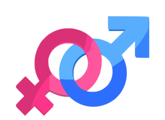 Kärntner Genderleitfaden: Wörterbuch wird zurückgezogen