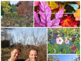10 Jahre My Garden – Hier wächst Leidenschaft!