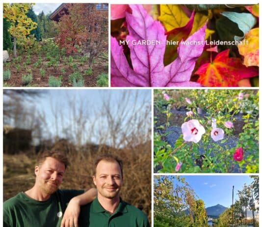 10 Jahre My Garden – Hier wächst Leidenschaft!