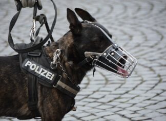 Vermehrtes Polizeiaufkommen in Hermagor?