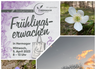 Einladung zum “Frühlingserwachen in Hermagor”