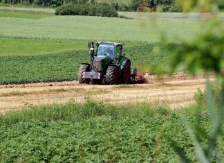 AMA: Bauer wehrte sich gegen Rückzahlung der Förderung