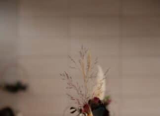 Falstaff hat die besten Restaurants Kärntens gekürt