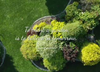 My Garden – Gärten vom Profi!