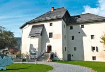 GailtalMuseum: Geier in den österreichischen Alpen Fluch oder Segen?