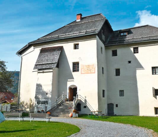 GailtalMuseum: Geier in den österreichischen Alpen Fluch oder Segen?