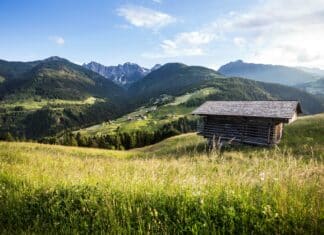Doktoren und Delikatessen: Frühling im Lesachtal