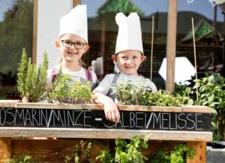 Geschmack-Workshops & Kinder-Kochwerkstatt