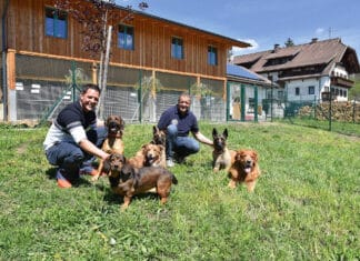 Ein Leben mit Hunden