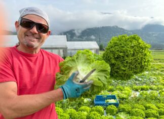 Die Würmlacher Gemüsefarm hat wieder geöffnet