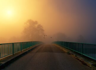 Regierungssitzung 4 – Bauprogramm 2023: 50 Millionen Euro für Straßen und Brücken