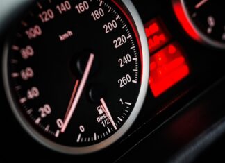 Auto ist Hitzefalle: Niemals Kinder und Hunde im Auto lassen