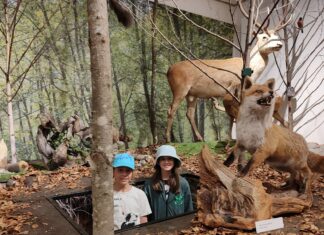 KLM Ortsgruppe Rattendorf machte einen Ausflug in die Landeshauptstadt
