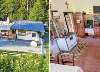 Natürlich lieben wir F(R)ISCHE