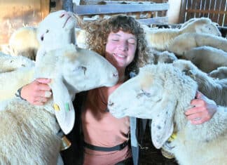 Ich leiste mir den „Luxus“ Einsamkeit